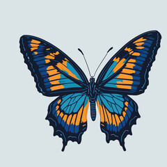 butterfly isolated on white vector
