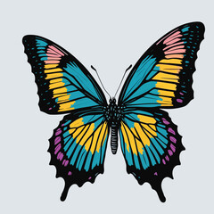 butterfly on white background vector
