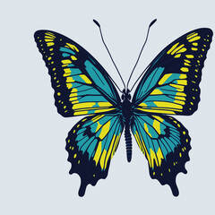 butterfly on a white background .vector