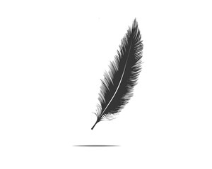 feather isolated on white background