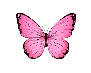 butterfly hand drawn design vector 