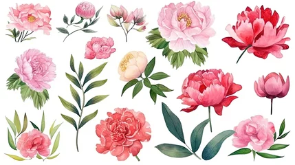 Keuken spatwand met foto set of watercolor peonies, generative ai © hamzahalderad