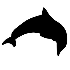 Dolphin Silhouette 