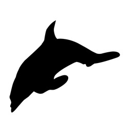 Dolphin Silhouette 
