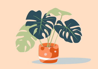 Fototapeta premium monstera alba houseplant vector illustration