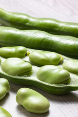 ソラマメ（アップ）