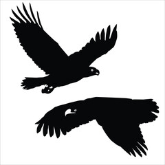 In the eagle activities vector, a majestic eagle soars through the sky with outstretched wings, embodying a sense of power and freedom. The vector captures the moment of flight.