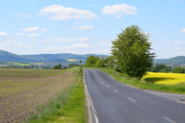 Fototapeta na wymiar Country Road in Spring