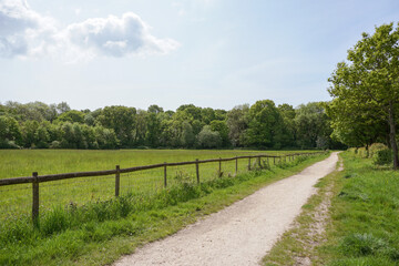 Fototapeta na wymiar Countryside scene with track alongside fenced field and woodland. Sunny day walk in rural England 
