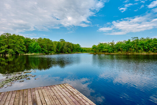 Sky,  on water surface, nature beauty in igneada floodplain in Turkey.