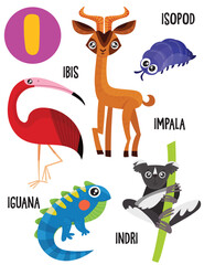 English alphabet with cute animals vector illustrations set. Funny cartoon animals: ibis, iguana, isopod, impala. Alphabet design in a colorful style.