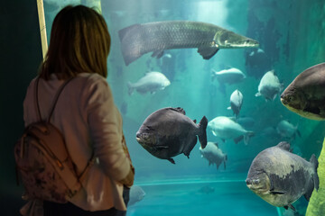 Fototapeta premium Woman on her back looking at the big fish swimming in the huge artificial aquarium.