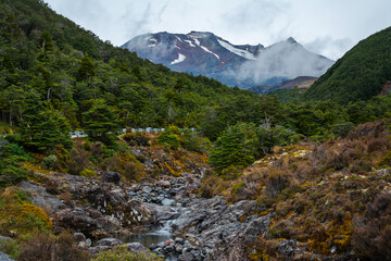 Majestic snow-patched Mount Ruapehu rising behind rocky riverbed with evergreen trees on the banks. Ohukune Mountain Road, North Island, New Zealand