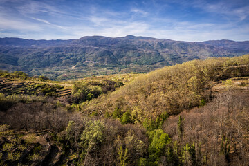 Landscape with blossoming cherry trees in the Valle del Jerte. Spain.