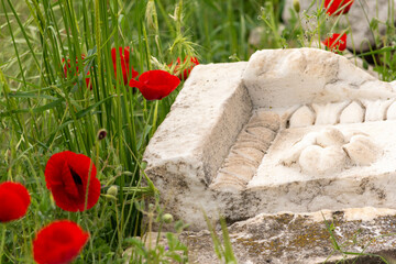 Poppies blooming next to ruined carvings in Turkey