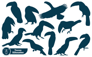 Animal Bird Toucan Silhouettes vector illustration