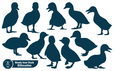 Farm Animal Newly born Duck Silhouette Vector Illustration