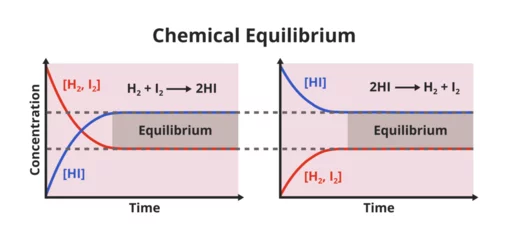 Foto op Canvas Two vector diagrams with chemical equilibrium – how concentrations of components in chemical reaction change with time. Attainment of equilibrium, forward reaction and reverse or backward reaction. © petrroudny