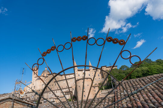 Urbino