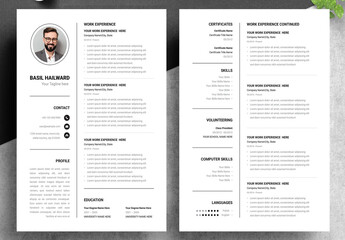 Business Resume Layout Design