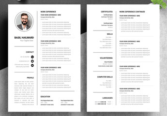 Business Resume Layout Design