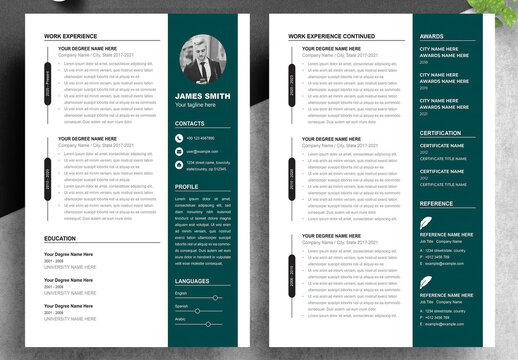 Professional Curriculum Vitae Template