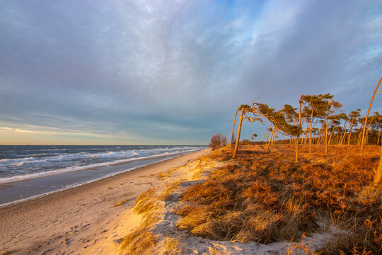 Dar&szlig;er Weststrand im Winter.