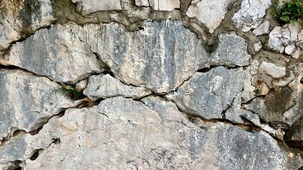 Wall of huge stones with plants between them