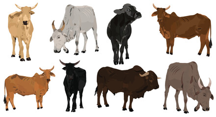 Farm animals set cow illustration vector set