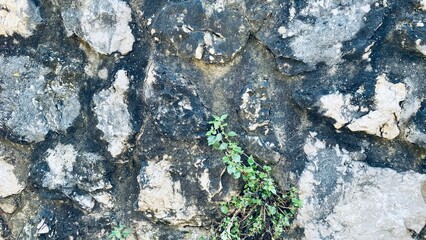 Wall of huge black and white stones