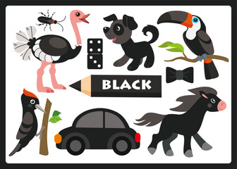Black color cartoon illustration for learning colors. Cute black objects set for kids: ostrich, cockroach, domino, dog, toucan, woodpecker, bow tie, car, horse.