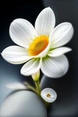 Flowers Photography by Ai tools