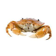 side view of Crab fish isolated on a transparent background, Generative ai