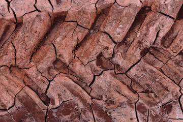 Tractor wheel tracks on dry and cracked soil due to lack of rainfall