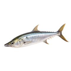 side view of Kingfish fish isolated on a transparent background, Generative ai