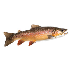 side view of Lake Trout fish isolated on a transparent background, Generative ai