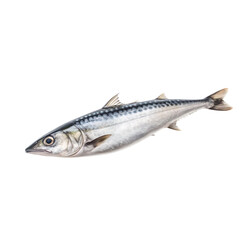 side view of Mackerel fish isolated on a transparent background, Generative ai