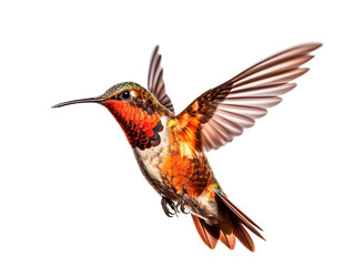 lovely hummingbird flying . generated with AI