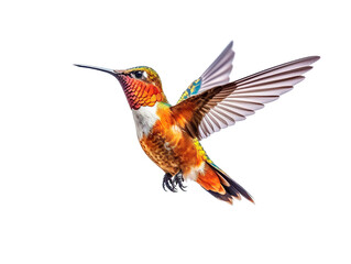 Fototapeta premium lovely hummingbird flying . generated with AI