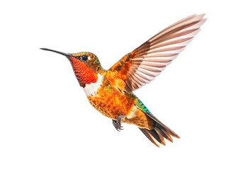 Fototapeta na wymiar lovely hummingbird flying . generated with AI
