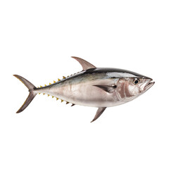 side view of Tuna fish isolated on a transparent background, Generative ai