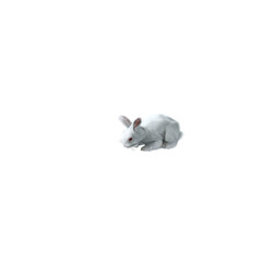 White rabbit on transparent background. White bunny looking around isolated on transparent background. 3D character animaion.