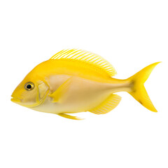 side view of Yellow fish isolated on a transparent background, Generative ai