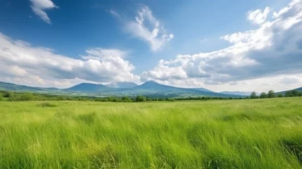 Fotobehang 緑の草原、青空、雲、山々を背景にしたパノラマ自然風景。夏の春の草原をパノラマで表現しました。浅い被写界深度GenerativeAI © enopi