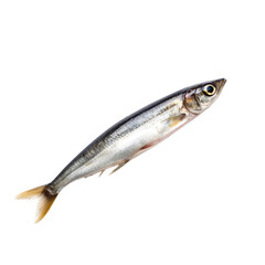 Naklejka premium side view of Anchovy fish on transparent background, Generative ai 