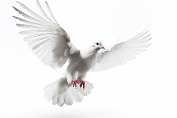 The agile movements of this white avian in flight, with feathers and wings spread, create a stunning scene of grace and freedom. AI Generative.