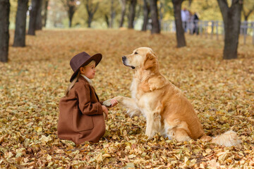 little beautiful girl in the park in autumn in golden leaves with a dog golden retriever labrador hugs and rejoices