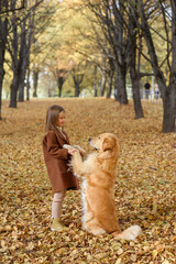 little beautiful girl in the park in autumn in golden leaves with a dog golden retriever labrador hugs and rejoices