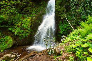 Majestic waterfall towering over the landscape, water stream falls from above from a rock onto...