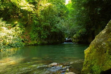 Obraz premium mountain lake is surrounded by a lush green forest, tourism and travel